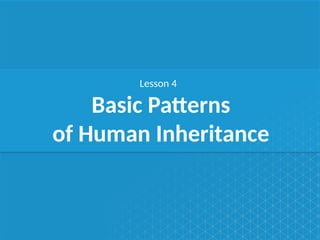 CA_Lesson_04_Basic_Patterns_of_Human_Inheritance.pptx