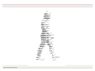 The transition towards a global bioeconomy: Opportunities and challenges for Africa