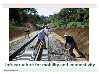 The transition towards a global bioeconomy: Opportunities and challenges for Africa