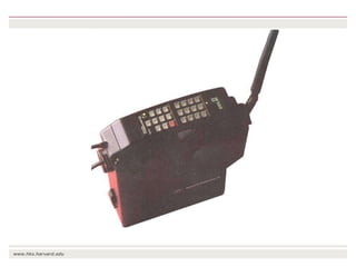 The transition towards a global bioeconomy: Opportunities and challenges for Africa