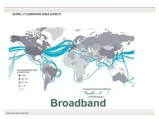 The transition towards a global bioeconomy: Opportunities and challenges for Africa