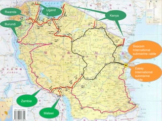 The transition towards a global bioeconomy: Opportunities and challenges for Africa