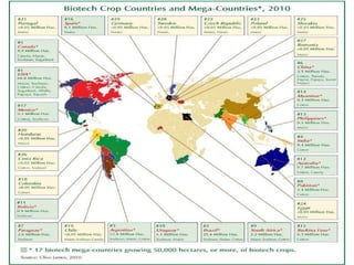 The transition towards a global bioeconomy: Opportunities and challenges for Africa