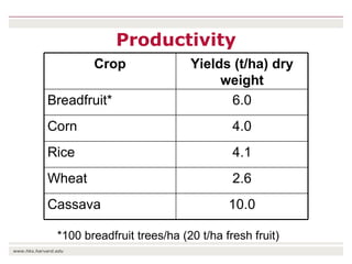 The transition towards a global bioeconomy: Opportunities and challenges for Africa