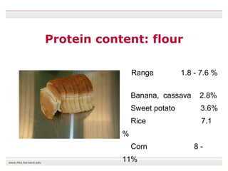The transition towards a global bioeconomy: Opportunities and challenges for Africa