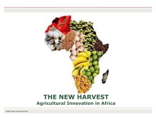 The transition towards a global bioeconomy: Opportunities and challenges for Africa