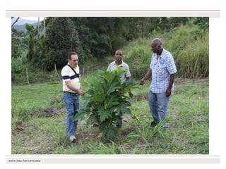 The transition towards a global bioeconomy: Opportunities and challenges for Africa