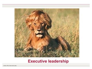 The transition towards a global bioeconomy: Opportunities and challenges for Africa