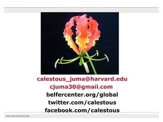 The transition towards a global bioeconomy: Opportunities and challenges for Africa