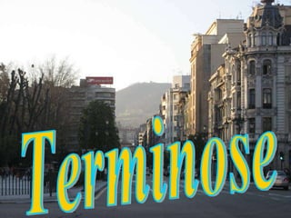 Terminose 