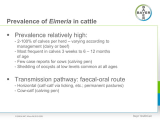 Prevalence of Eimeria in cattle
 Prevalence relatively high:
- 2-100% of calves per herd – varying according to
management (dairy or beef)
- Most frequent in calves 3 weeks to 6 – 12 months
of age
- Few case reports for cows (calving pen)
- Shedding of oocysts at low levels common at all ages
 Transmission pathway: faecal-oral route
- Horizontal (calf-calf via licking, etc.; permanent pastures)
- Cow-calf (calving pen)
R.EMEA.MKT.Africa.08.2015.0250
 