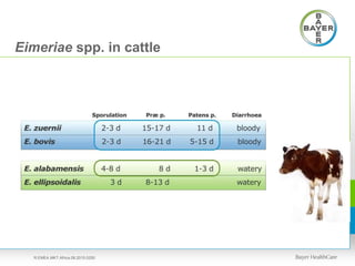 Eimeriae spp. in cattle
R.EMEA.MKT.Africa.08.2015.0250
 