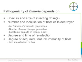 Pathogenicity of Eimeria depends on
 Species and size of infecting dose(s)
 Number and localisation of host cells destroyed
- i.e. Number of merozoite generations
- Number of merozoites per generation
- Location of parasite (in tissue / in cell)
 Degree and time of re-infection
 Degree of acquired / natural immunity of host
- Incl. stress factors on host
R.EMEA.MKT.Africa.08.2015.0250
 