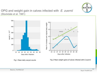 OPG and weight gain in calves infected with E. zuernii
(Stockdale et al. 1981)
18Baycox_TechManual
 