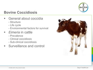 Bovine Coccidiosis
 General about coccidia
- Structure
- Life cycle
- Environmental factors for survival
 Eimeria in cattle
- Prevalence
- Clinical coccidiosis
- Sub-clinical coccidiosis
 Surveillance and control
R.EMEA.MKT.Africa.08.2015.0250
 