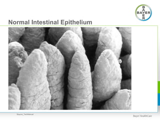Normal Intestinal Epithelium
Baycox_TechManual
 