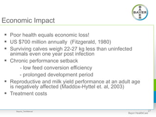Economic Impact
 Poor health equals economic loss!
 US $700 million annually (Fitzgerald, 1980)
 Surviving calves weigh 22-27 kg less than uninfected
animals even one year post infection
 Chronic performance setback
- low feed conversion efficiency
- prolonged development period
 Reproductive and milk yield performance at an adult age
is negatively affected (Maddox-Hyttel et. al, 2003)
 Treatment costs
27Baycox_TechManual
 