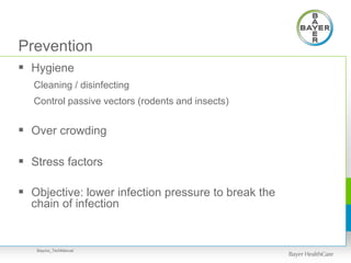 Prevention
 Hygiene
Cleaning / disinfecting
Control passive vectors (rodents and insects)
 Over crowding
 Stress factors
 Objective: lower infection pressure to break the
chain of infection
Baycox_TechManual
 