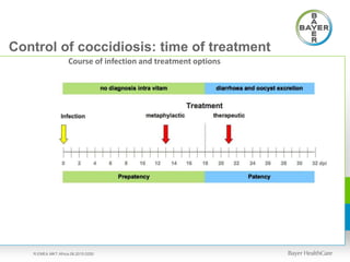 Control of coccidiosis: time of treatment
Course of infection and treatment options
R.EMEA.MKT.Africa.08.2015.0250
 