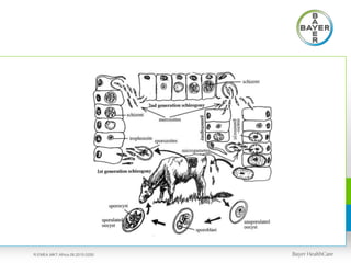 R.EMEA.MKT.Africa.08.2015.0250
 
