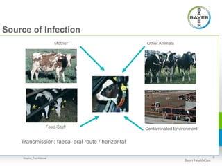 Source of Infection
6
Mother
Feed-Stuff
Other Animals
Contaminated Environment
Transmission: faecal-oral route / horizontal
Baycox_TechManual
 