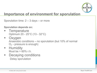 Importance of environment for sporulation
Sporulation time: 2 – 3 days – or more
Sporulation depends on:
 Temperature
Optimum 20 - 25°C (13 - 32°C)
 Oxygen
Anaerobic conditions – no sporulation (but 10% of normal
O₂ - pressure is enough)
 Humidity
Must be > 60% r.h.
 Decaying conditions
Delay sporulation
R.EMEA.MKT.Africa.08.2015.0250
 