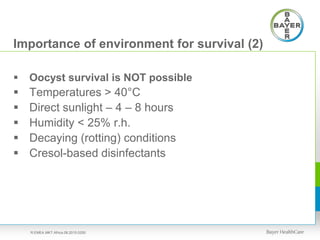 Importance of environment for survival (2)
 Oocyst survival is NOT possible
 Temperatures > 40°C
 Direct sunlight – 4 – 8 hours
 Humidity < 25% r.h.
 Decaying (rotting) conditions
 Cresol-based disinfectants
R.EMEA.MKT.Africa.08.2015.0250
 