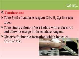 Calf diarrhoea | PPT