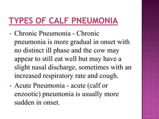 •   Chronic Pneumonia - Chronic
    pneumonia is more gradual in onset with
    no distinct ill phase and the cow may
    appear to still eat well but may have a
    slight nasal discharge, sometimes with an
    increased respiratory rate and cough.
•   Acute Pneumonia - acute (calf or
    enzootic) pneumonia is usually more
    sudden in onset.
 