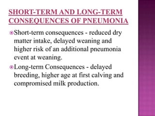  Short-term  consequences - reduced dry
  matter intake, delayed weaning and
  higher risk of an additional pneumonia
  event at weaning.
 Long-term Consequences - delayed
  breeding, higher age at first calving and
  compromised milk production.
 