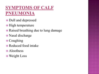  Dull and depressed
 High temperature
 Raised breathing due to lung damage
 Nasal discharge
 Coughing
 Reduced food intake
 Aloofness
 Weight Loss
 