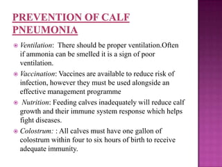  Ventilation: There should be proper ventilation.Often
  if ammonia can be smelled it is a sign of poor
  ventilation.
 Vaccination: Vaccines are available to reduce risk of
  infection, however they must be used alongside an
  effective management programme
 Nutrition: Feeding calves inadequately will reduce calf
  growth and their immune system response which helps
  fight diseases.
 Colostrum: : All calves must have one gallon of
  colostrum within four to six hours of birth to receive
  adequate immunity.
 
