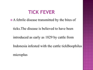  A febrile   disease transmitted by the bites of

 ticks.The disease is believed to have been

 introduced as early as 1829 by cattle from

 Indonesia infested with the cattle tickBoophilus

 microplus
 