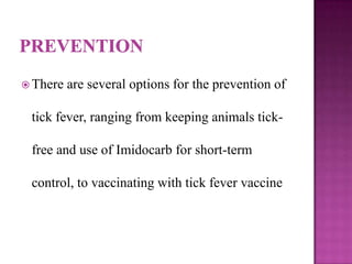  There   are several options for the prevention of

 tick fever, ranging from keeping animals tick-

 free and use of Imidocarb for short-term

 control, to vaccinating with tick fever vaccine
 