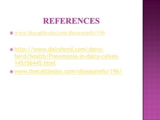  www.thecattlesite.com/diseaseinfo/196


 http://www.dairyherd.com/dairy-
  herd/health/Pneumonia-in-dairy-calves-
  145156445.html
 www.thecattlesite.com/diseaseinfo/196/
 