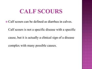  Calf   scours can be defined as diarrhea in calves.

 Calf scours is not a specific disease with a specific

 cause, but it is actually a clinical sign of a disease

 complex with many possible causes.
 