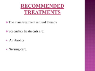  The   main treatment is fluid therapy

 Secondary   treatments are:

   Antibiotics

   Nursing care.
 