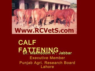 CALF
FATTENING Jabbar
Dr. Makhdoom A .

Executive Member
Punjab Agri. Research Board
Lahore

 