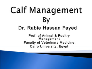 Dr. Rabie Hassan Fayed
Prof. of Animal & Poultry
Management
Faculty of Veterinary Medicine
Cairo University, Egypt
 