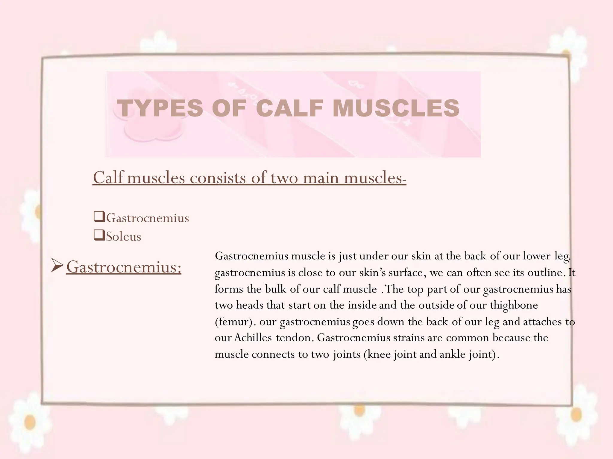CALF MUSCLE and it's importance. Action of calf muscle and it's ...