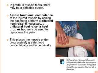  In grade III muscle tears, there
may be a palpable defect.
 Assess functional competence
of the injured muscle by asking
the patient to perform a bilateral
heel raise. If necessary, a
unilateral heel raise, a heel
drop or hop may be used to
reproduce the pain.
 This places the muscle under
progressively greater load
concentrically and eccentrically.
 