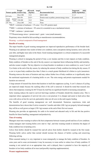 6 of 12
Pasture quality
Weight of
weaners (kg)
Growth target
(kg/day) Recommended feed
Suggested daily
intake (kg/hd/day)
CP 5-6%
Over 200 >0.2 MUP, M8U 1-1.5
Good pasture
DMD >55%,
CP >8%
100-150 0.25+ Protein meal or pellets, protein/energy mixes 0.3 protein meal
150-200 >0.2 None
Over 200 >0.2 None
*MUP = a mixture of molasses + 3% urea + 8 to 10% protein meal.
**M8U = a mixture of molasses + 8% urea (it is essential to use a mechanical mixer).
***MP = molasses + protein meal.
****Protein/energy mixes = protein meal + grain + urea (small amounts).
Proprietary mixes should be fed according to manufacturers recommendations.
Weaning – a critical component of herd management
Benefits of weaning
The major benefits of good weaning management are improved reproductive performance of the breeder herd.
Weaning at an optimum time results in better cow condition, more conceptions during lactation, more calves the
year after, and higher steer sales in the future. Good weaning management is a critical component of a successful
management program.
Weaning is critical in managing the period of time a cow lactates and this in turn impacts on body condition.
Body condition of breeders at the end of the dry season is an important factor influencing fertility and mortality,
and also weaner weights. The key objective is to keep breeders in moderate or store condition (i.e. score 3 out of
5) or better at the end of the dry season, by reducing the amount of body condition lost during the dry season. If
a cow is in poor body condition (less than 3) there is a much greater likelihood of a failure to cycle (anoestrus).
Weaning removes the stress of lactation and may reduce further loss of body condition as it significantly alters
the nutritional requirements of a lactating heifer or cow. The extra energy and protein requirements needed for
lactation are removed.
A large amount of research has shown that lactation in itself also suppresses cycling. A cow’s chances of cycling
are improved simply because the suckling effect of the calf is removed. It should be noted that research also
shows that temporary weaning for 48-72 hours by itself has no significant benefit in increasing conceptions.
Early weaning reduces the need to survival feed large numbers of breeders should this situation arise. This is
important where segregation of survival risk cows is not practical. It is cheaper and easier to feed calves than
cows with calves at foot for survival, particularly when not all cows in the mob require feeding.
The benefits of good weaning management are well documented. Numerous experiences, trials and
demonstrations have shown that if calves weaned at 3 months and older (100+ kg) are properly fed and managed
they will be as well grown as larger (150+ kg) weaners at the end of their first wet season.
Weaning also provides an opportunity for cattle to be trained and educated early in life and this has positive
benefits for future handling, management and productivity.
Time of weaning
Managers must time weaning to achieve the best compromise between weaner growth and loss of cow condition.
Astute managers start weaning before cows start to ‘slip’, and time weaning rounds to minimise the degree of
body condition loss in lactating cows.
Calves from heifers should be weaned first and all calves from heifers should be weaned at the first round.
Weaning heifer calves earlier than normal should increase the chances of heifers cycling and conceiving
following calving.
When seasonal mating it is very important to wean strategically to manage the body condition of breeders. In
some years and in some environments it may be necessary to wean earlier to reduce loss of body condition. If
weaning is not carried out at an appropriate time, and is delayed, there is potential to have the majority of
breeders in low body condition all at once (and possibly requiring supplementation).
Weaner supplementation
 