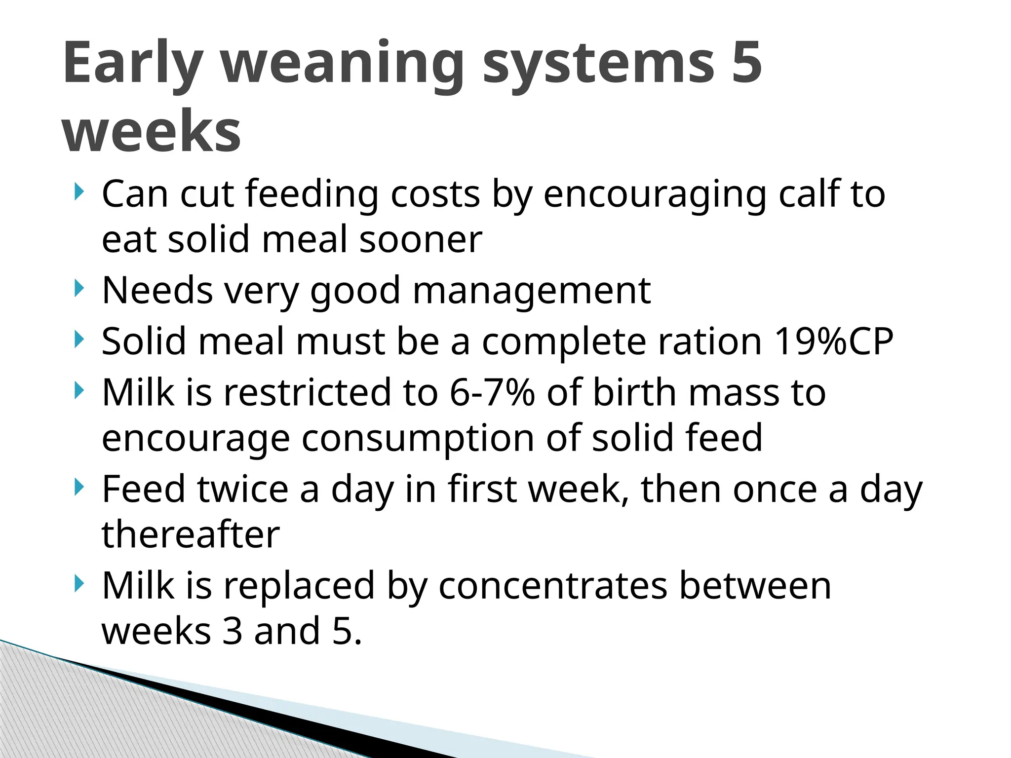 Calf Rearing in a dairy production .pptx