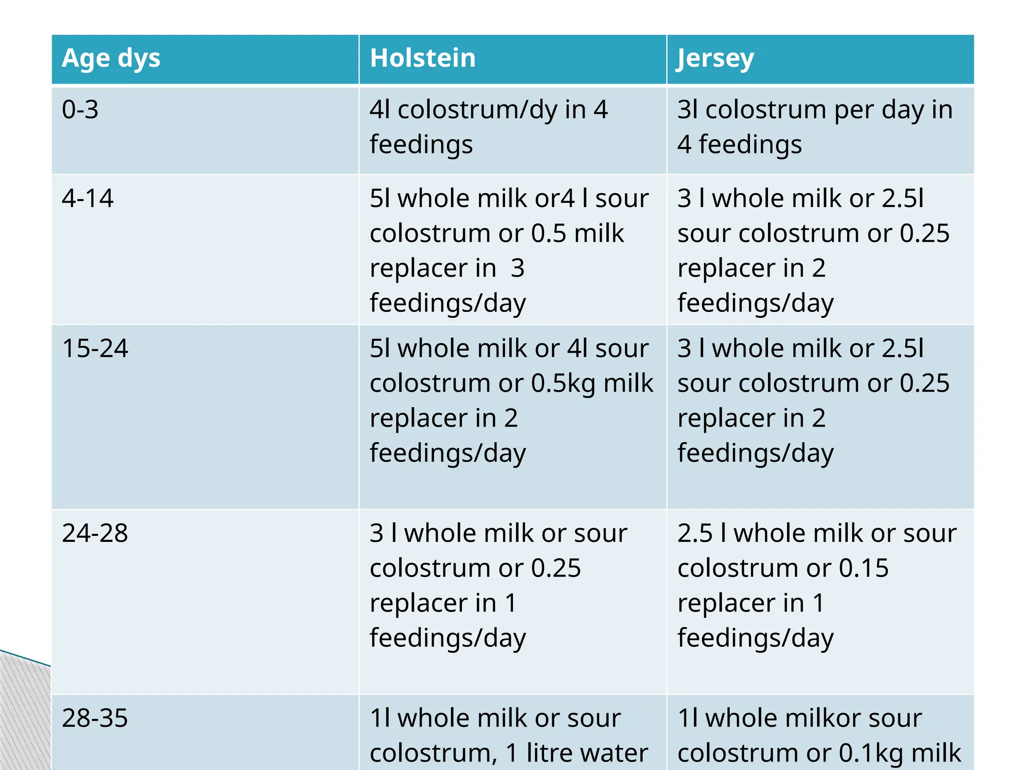 Calf Rearing in a dairy production .pptx