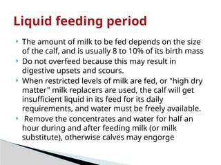 Calf Rearing in a dairy production .pptx