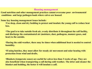 calf rearing training.ppt. In any dairy production system calf rearing ...