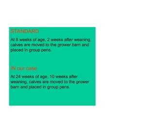 calf rearing training.ppt. In any dairy production system calf rearing ...