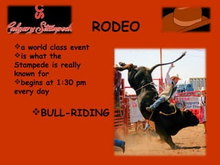RODEO
BULL-RIDING
a world class event
is what the
Stampede is really
known for
begins at 1:30 pm
every day
 