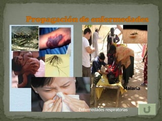 Dengue




                                Malaria



         Enfermedades respiratorias
 