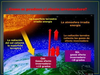 ¿ Como se produce el efecto invernadero?

                   La superficie terrestre
                       irradia energía       La atmosfera irradia
                                                   energía



                                              La radiación terretre
                                              calienta los gases de
 La radiación                                  efecto invernadero
del sol calienta
 la superficie
    terrestre
                                                       Sin
                                                   gases efecto
                            Con                    invernadero:
                        Gases efecto                -18 grados
                        invernadero:
                         +15 grados
 
